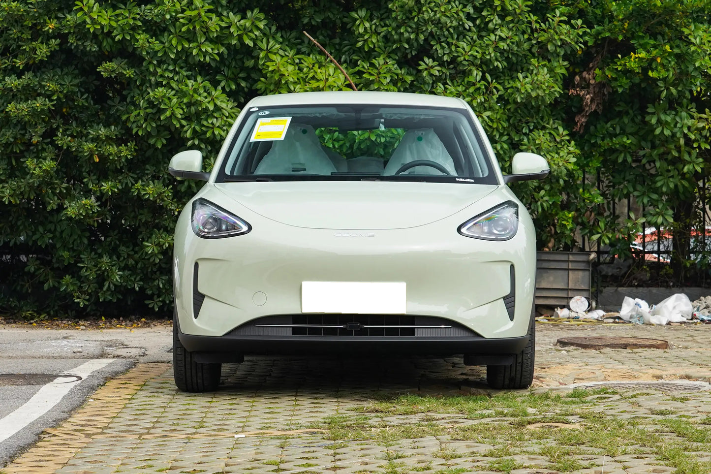 Geely Galaxy Star Wish Mid-Size Luxury Electric SUV