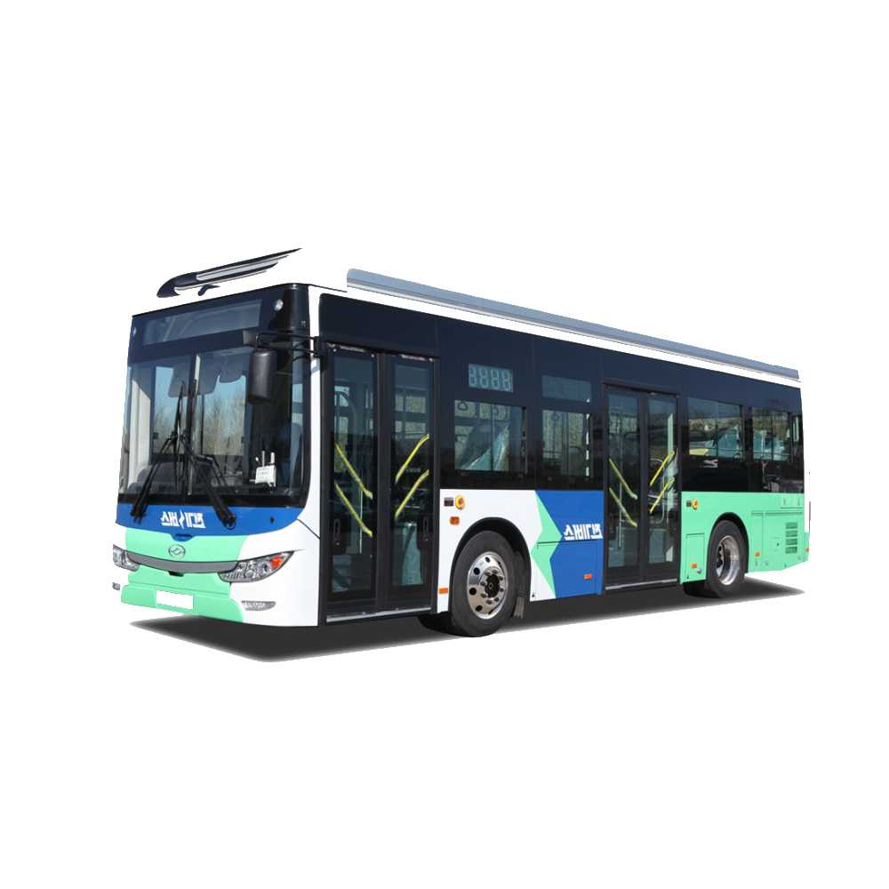 Huanghai Auto 9.6m Pure Electric Low-Entry City Bus DD6960EVE