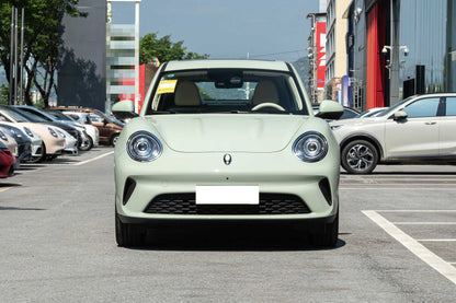 ORA Good Cat Compact Electric Hatchback