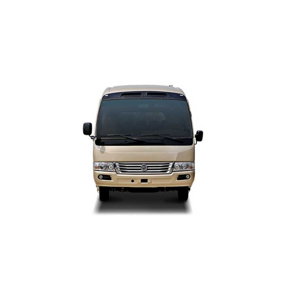 Golden Dragon Coaster Group Edition Minibus