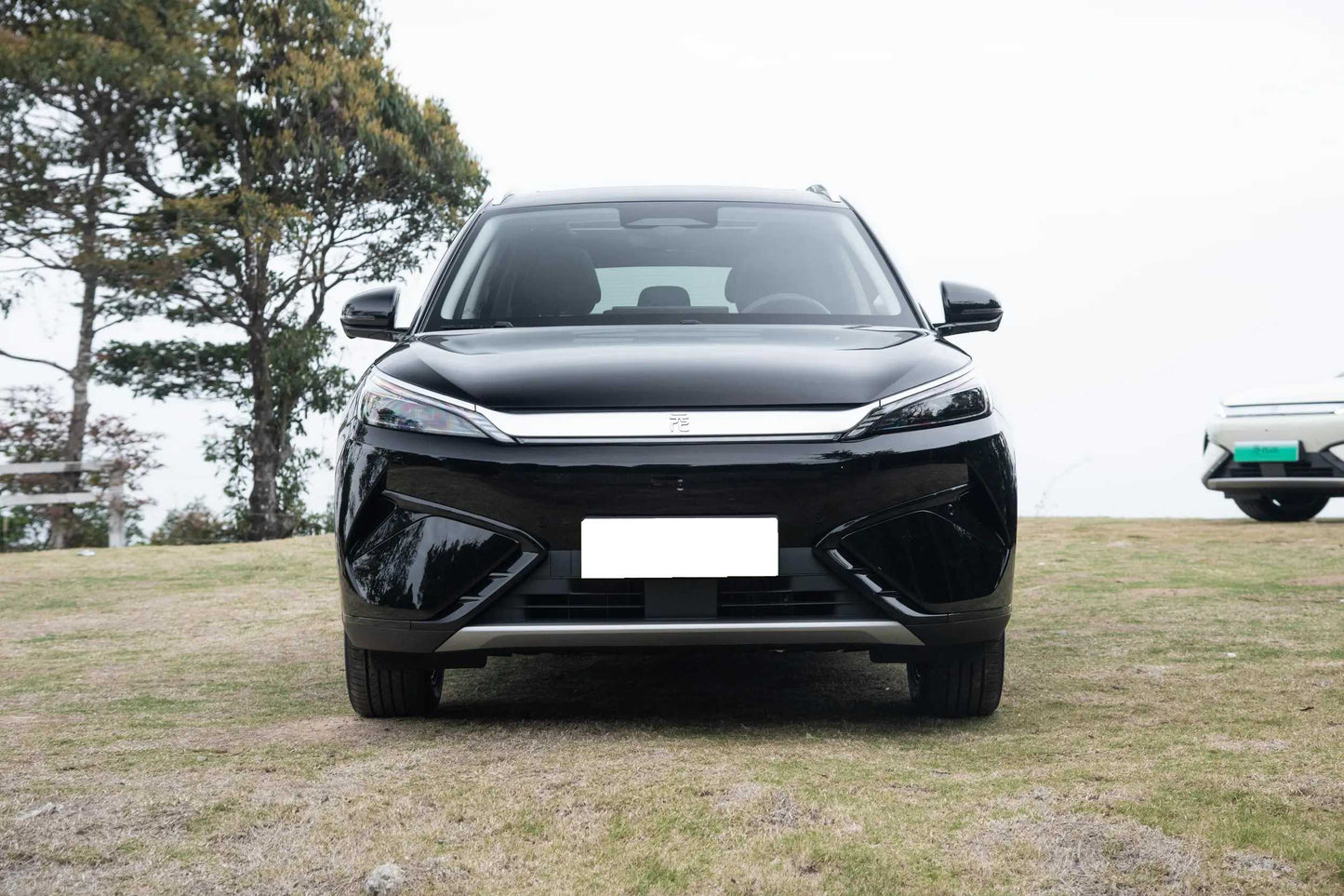 BYD Yuan PLUS Glory Edition Compact Electric SUV